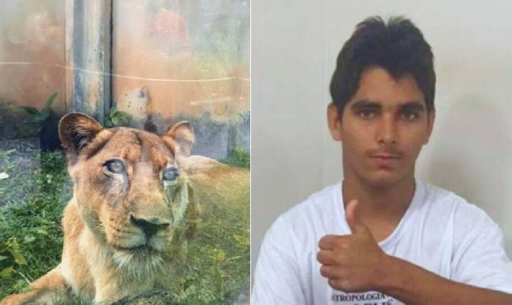 O que se sabe até o momento sobre o caso da morte em invasão ao recinto da leoa