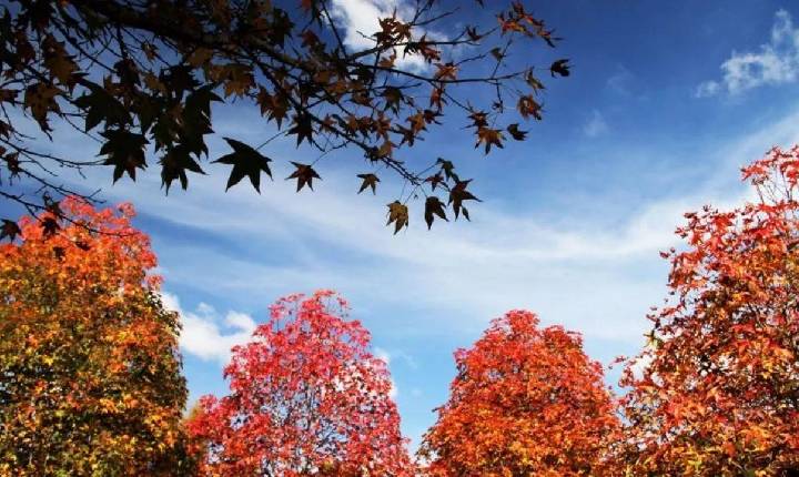 Outono começa nesta sexta com temperaturas acima da média no Paraná