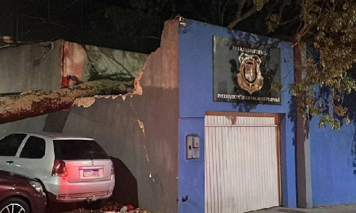 Acompanhe a cobertura completa do vendaval que atingiu a região na noite desta quinta-feira (16)