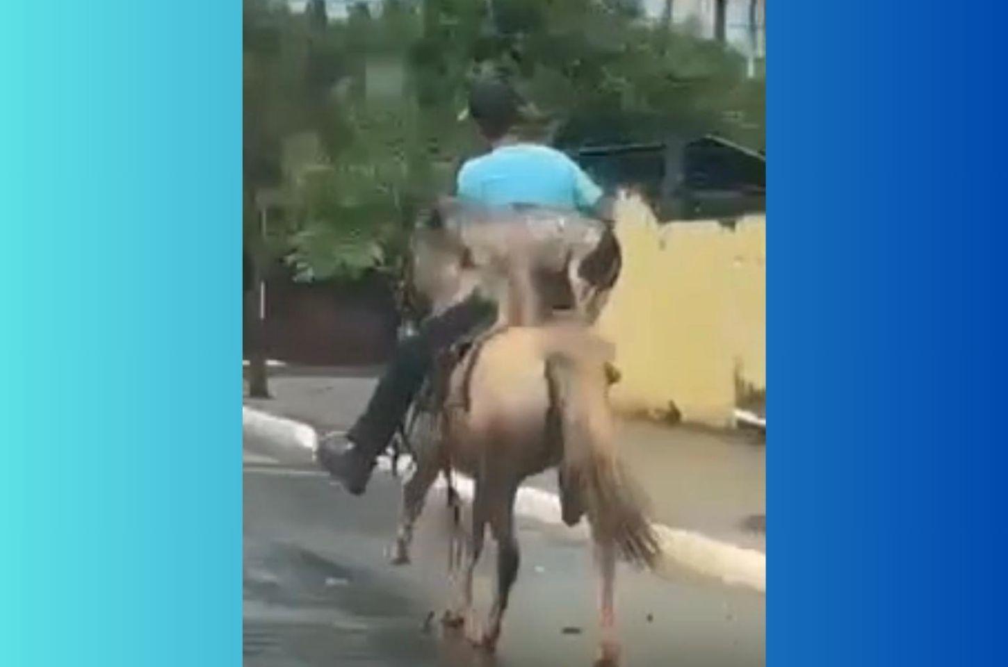 Cachorrinha chama atenção de moradores ao passear a cavalo com tutor em Jardim Alegre