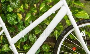 Homem desconhecido arremessa bicicleta em quintal e foge em Ivaiporã