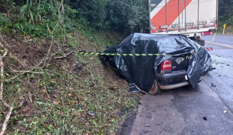 Bebê de 1 ano, encontrada chorando, sobrevive a acidente fatal que mata cinco jovens entre 14 e 19 anos no Paraná