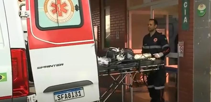 Bebê é atacada por pitbull da família em Sarandi, fica em estado grave e perde visão