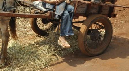 Criança de 11 anos fica ferida ao cair de carroça em Mandaguari