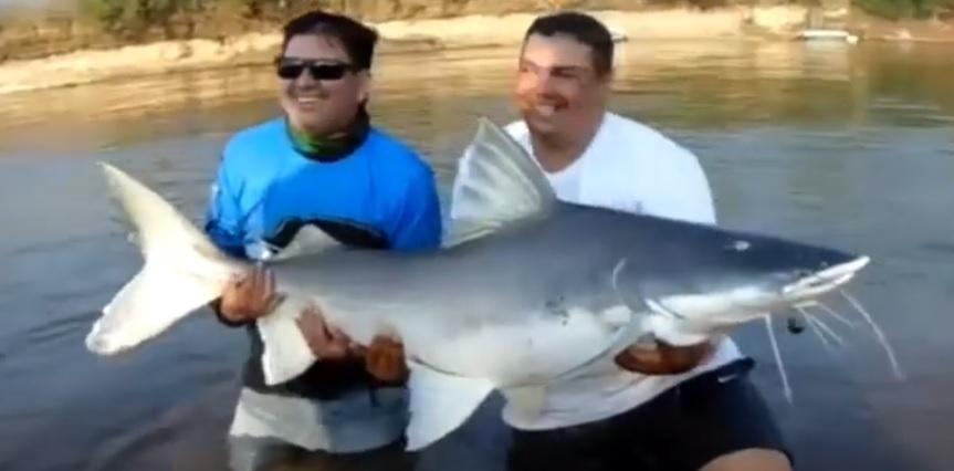Durante pesca no Rio Araguaia, morador de Jardim Alegre fisgou peixe de 1,65 metros e mais de 86 kg.