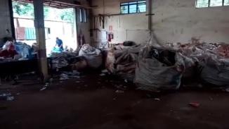 Famílias que vivem da reciclagem pedem apoio da população em Jardim Alegre