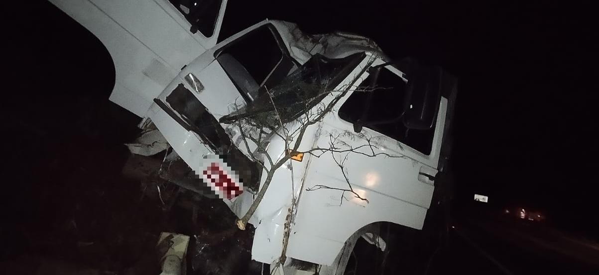 Caminhão colide com árvore e duas pessoas ficam feridas entre Manoel Ribas e Ivaiporã