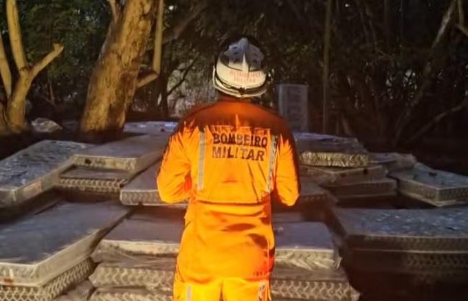 Homem permanece há mais de 67 horas no topo de árvore e resgate mobiliza bombeiros