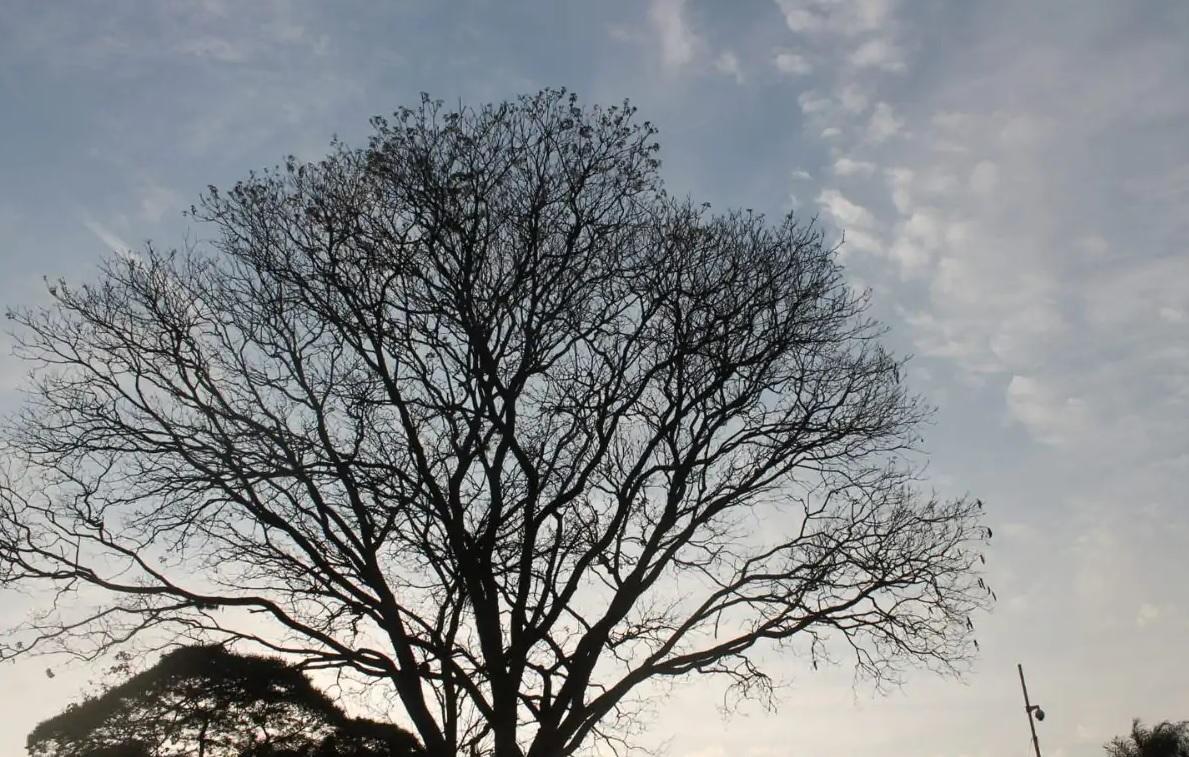Inverno inicia nesta sexta e frio intenso chega na próxima semana em Jardim Alegre