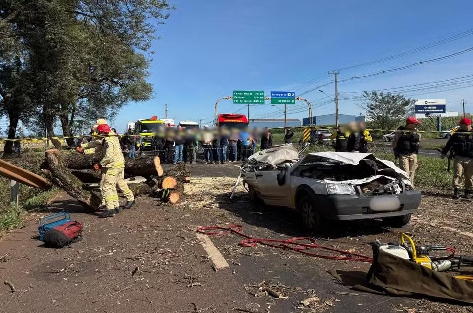 Motorista morre após árvore cair sobre carro na BR-317, em Maringá