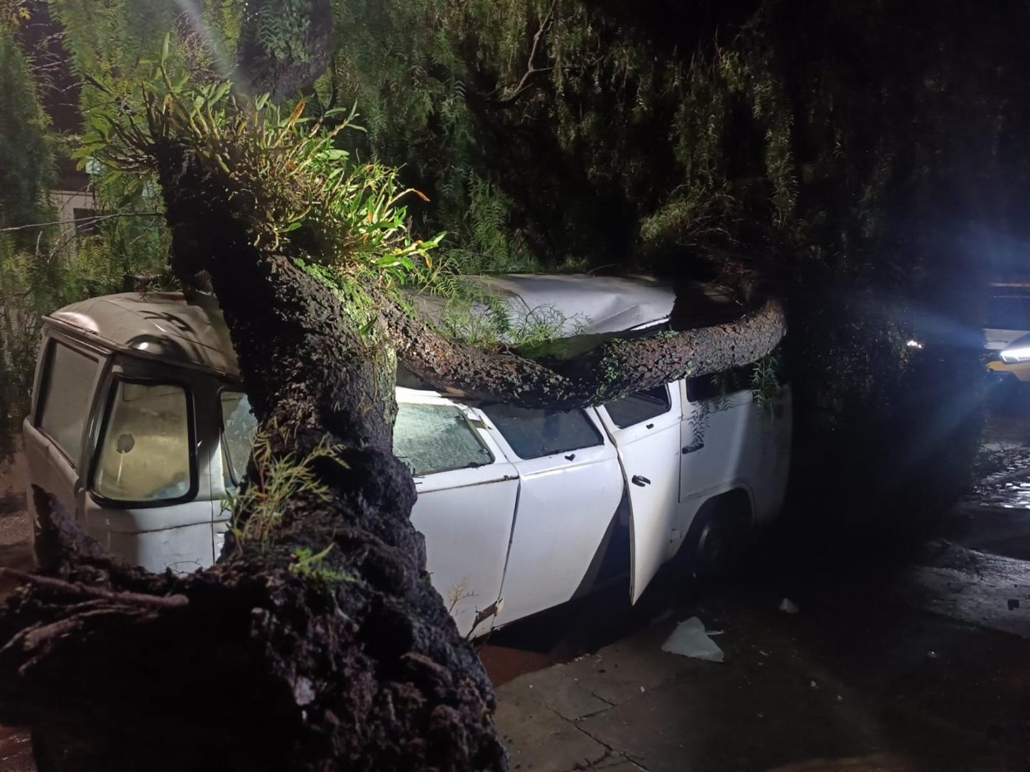 Kombi fica destruída após queda de árvore durante temporal em Ivaiporã