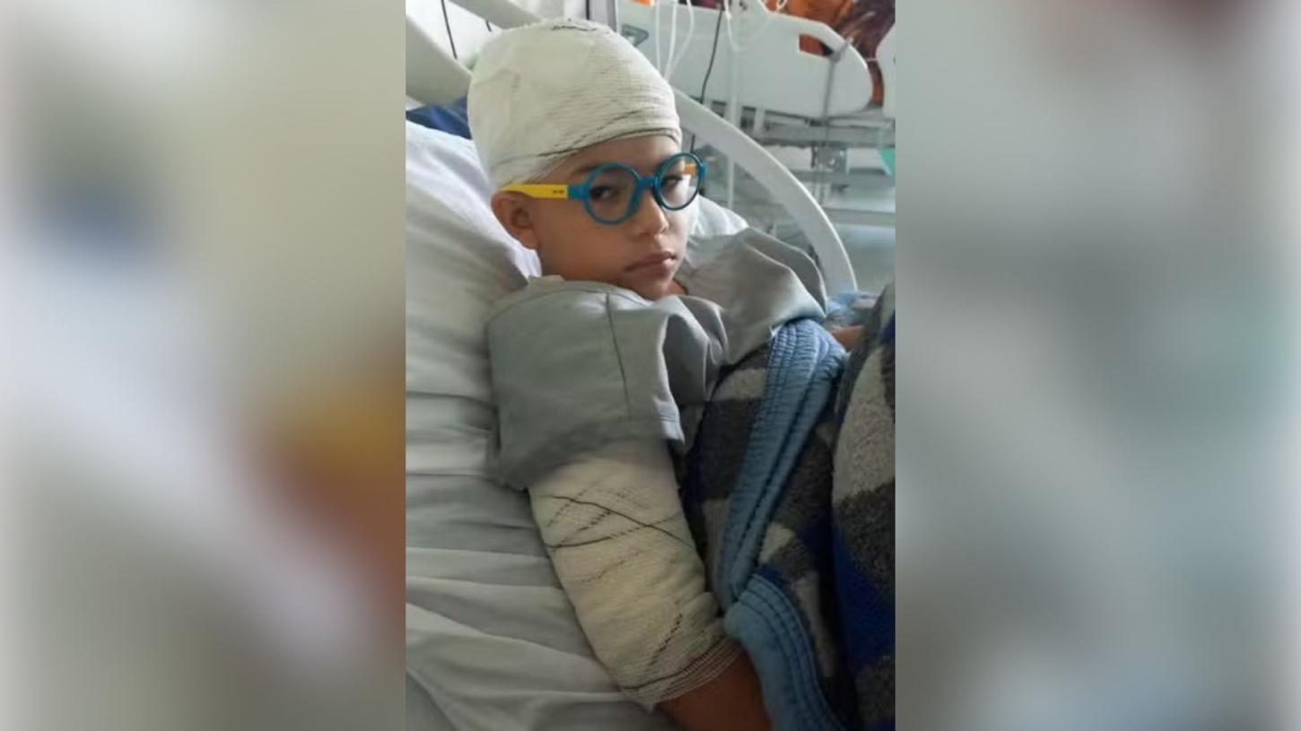 Ataque de cachorro a criança em Foz do Iguaçu: quem é o responsável?
