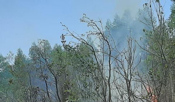 Duas ocorrências de incêndio em vegetação nesta quinta em Ivaiporã: aumento de queimadas preocupa a comunidade