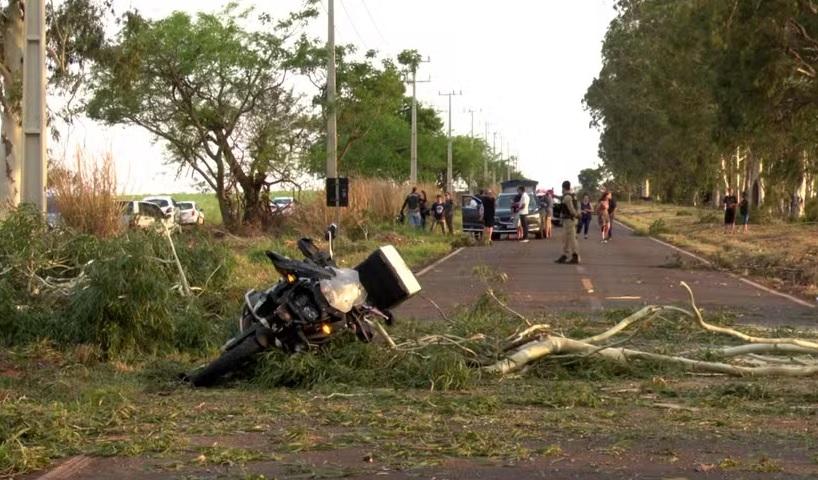 Mulher morre ao ser atingida por galho de árvore durante tempestade enquanto se abrigava no Paraná
