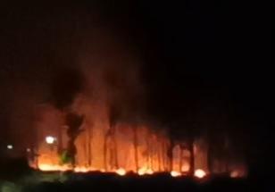 Incêndio em vegetação em Jardim Alegre pode ter sido intencional; dono da propriedade fala sobre o caso