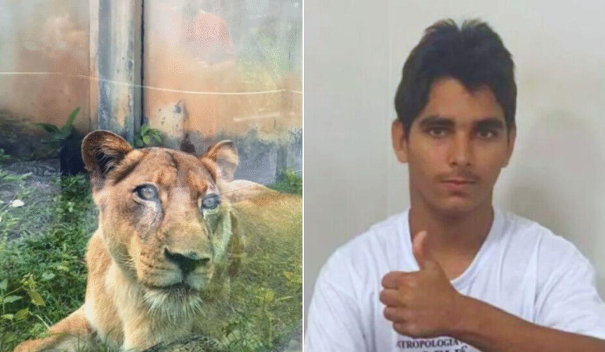 O que se sabe até o momento sobre o caso da morte em invasão ao recinto da leoa