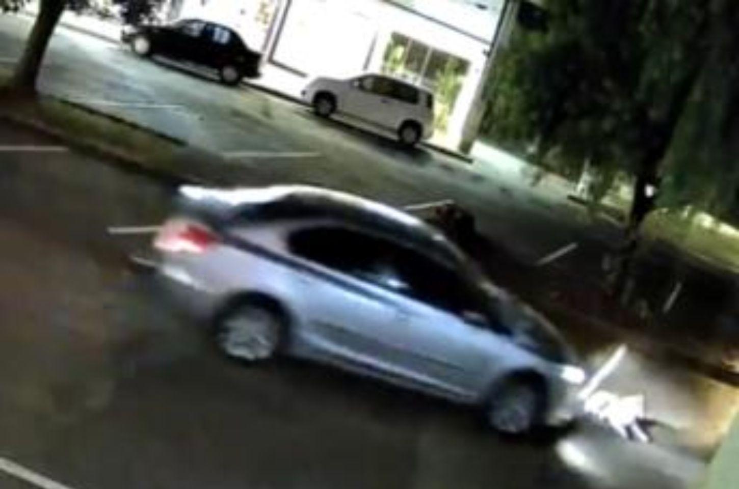 Polícia Civil pede ajuda da população para identificar motorista suspeito de atropelar cachorro em Ivaiporã