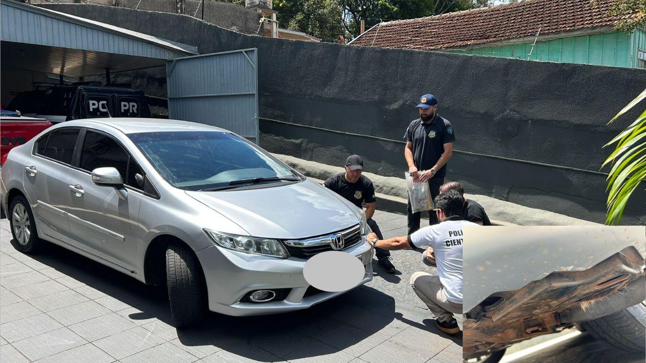 Polícia identifica motorista que atropelou cadela Dara, apreende carro e apura possível consumo de álcool