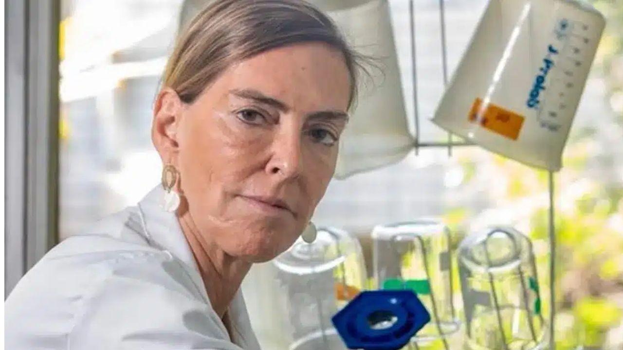 Quem é Tatiana Sampaio, a pesquisadora que desenvolveu a polilaminina para recuperação de paraplégicos e tetraplégicos