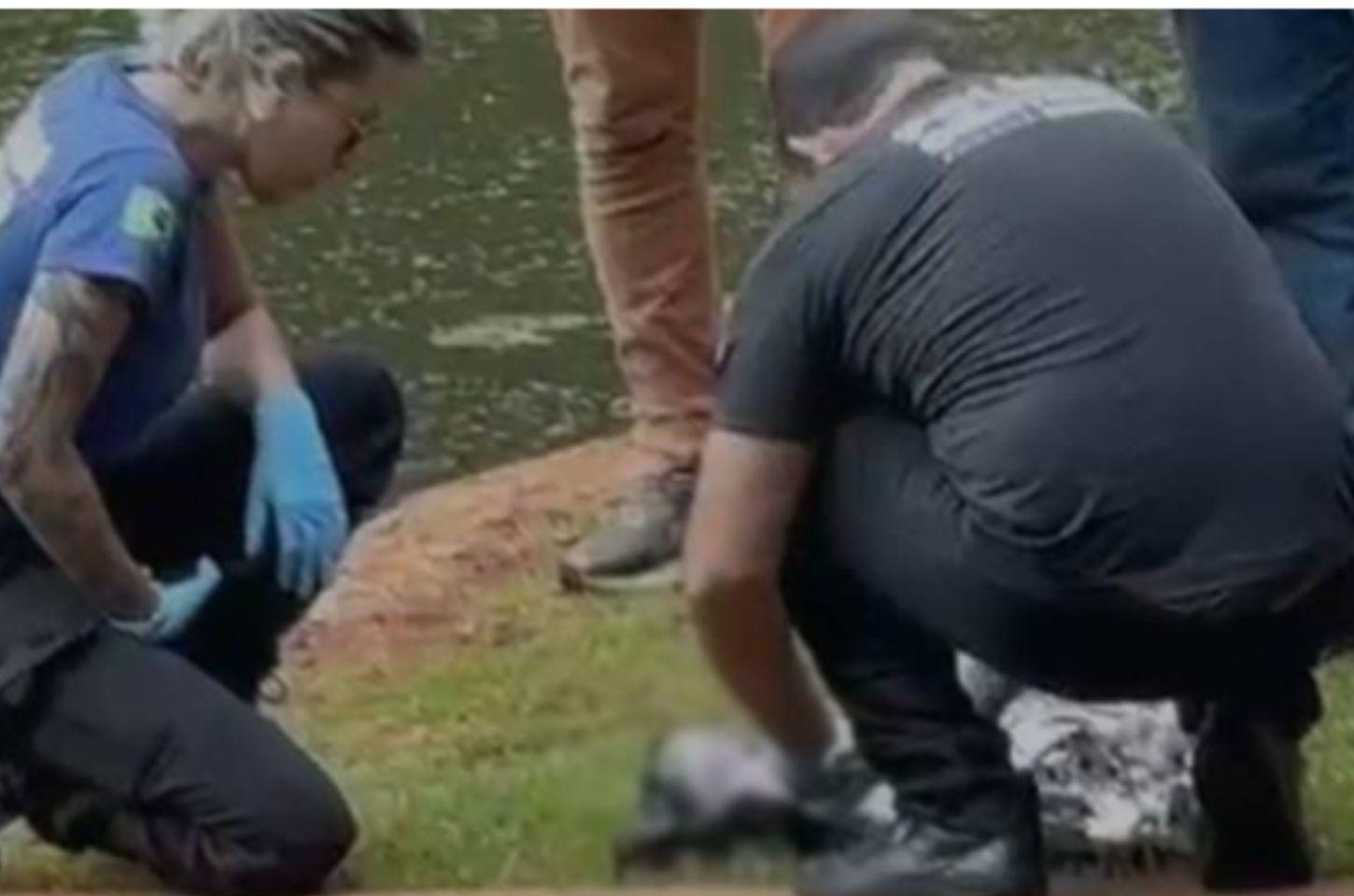 Recém-nascido é encontrado morto em saco plástico dentro de lago em Arapongas