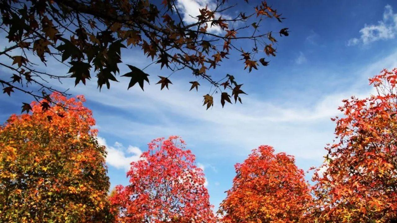 Outono começa nesta sexta com temperaturas acima da média no Paraná