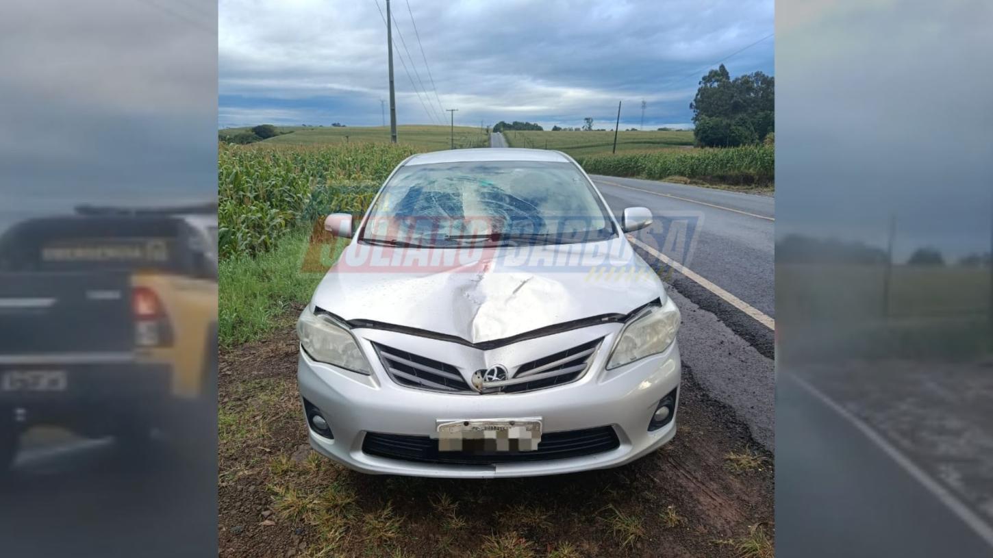 Jovem de 19 anos fica ferida em atropelamento na PR-082 entre Jardim Alegre e Lunardelli