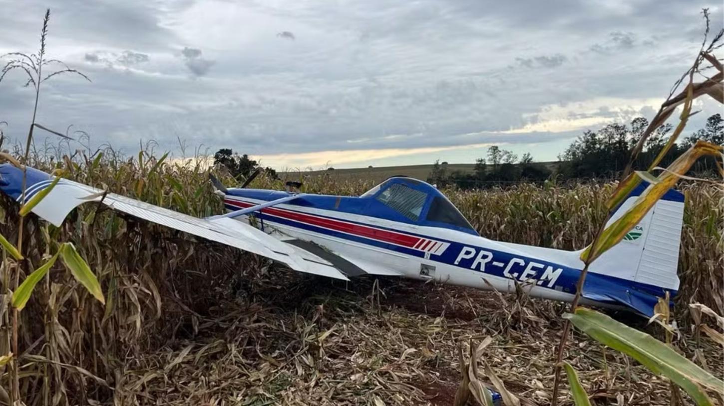 Avião de pequeno porte cai em área rural de Marialva; piloto sofreu pane e fez pouso forçado