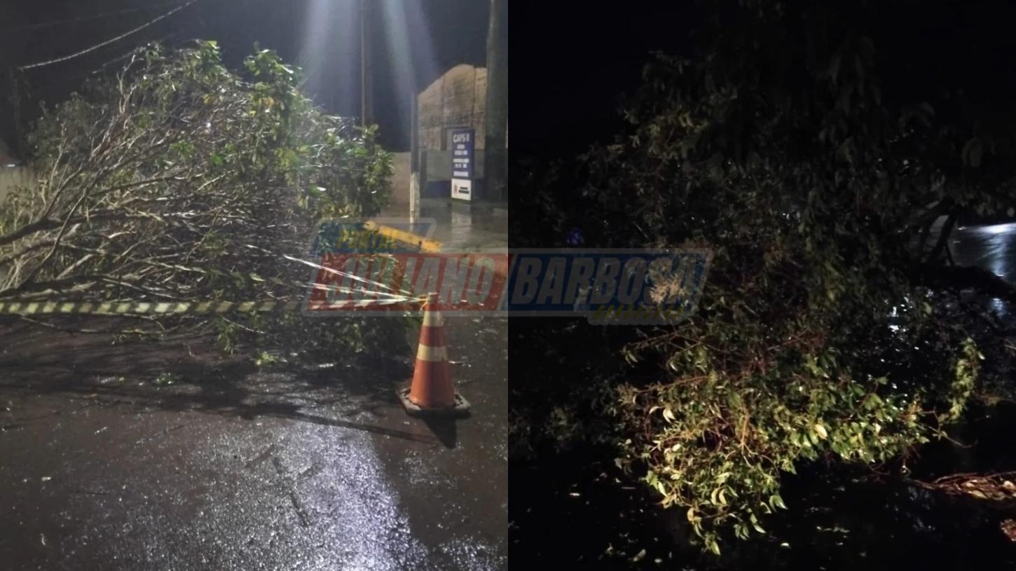 Temporal provoca queda de árvores e mobiliza equipes durante a noite em Jardim Alegre