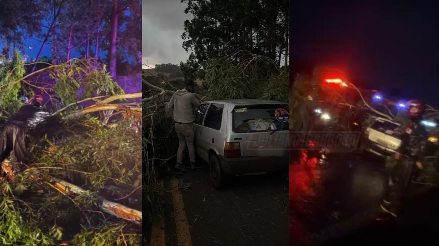 Veículo de Jardim Alegre é atingido por árvore durante temporal na PRC-466, em Lidianópolis