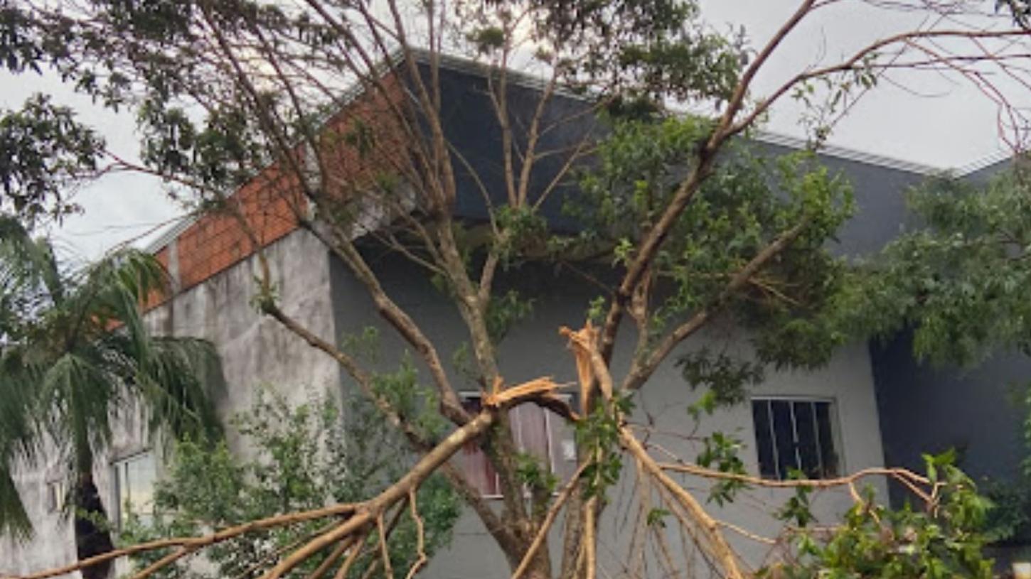 Temporal de quinta-feira provocou destelhamentos e queda de árvores em Ivaiporã