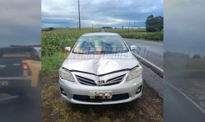 Jovem de 19 anos fica ferida em atropelamento na PR-082 entre Jardim Alegre e Lunardelli