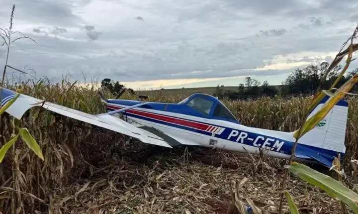 Avião de pequeno porte cai em área rural de Marialva; piloto sofreu pane e fez pouso forçado