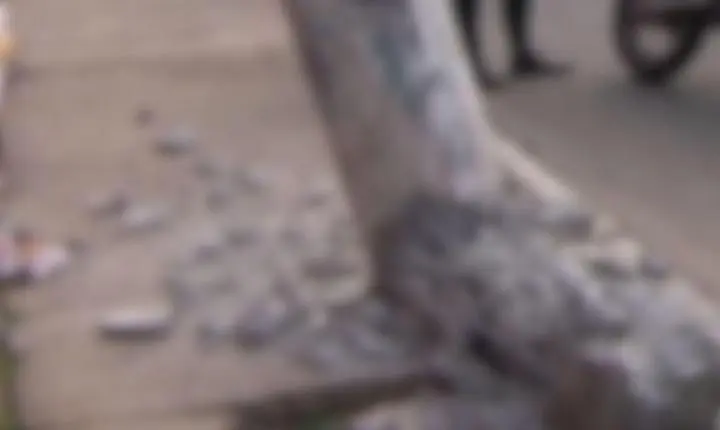 Colisão de carro contra poste mobiliza equipe policial em Ivaiporã