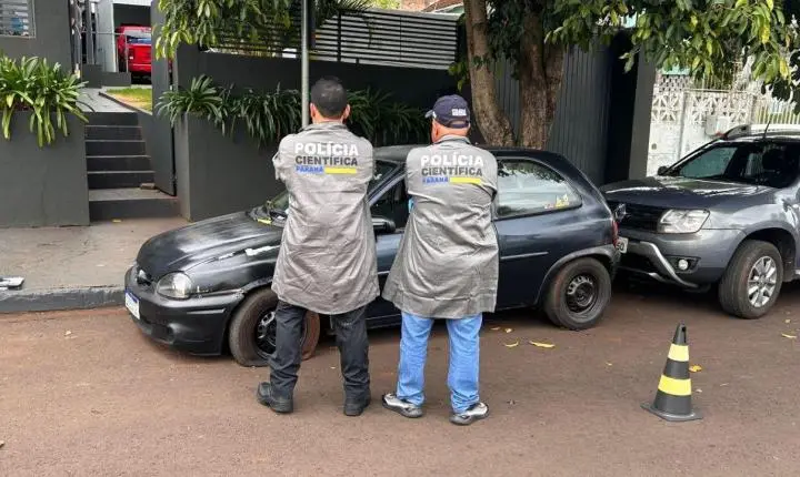 Mais informações sobre a Adolescente encontrada abandonada em estrada rural de Jardim Alegre após ser agredida com alicate e atropelada diversas vezes pelo namorado
