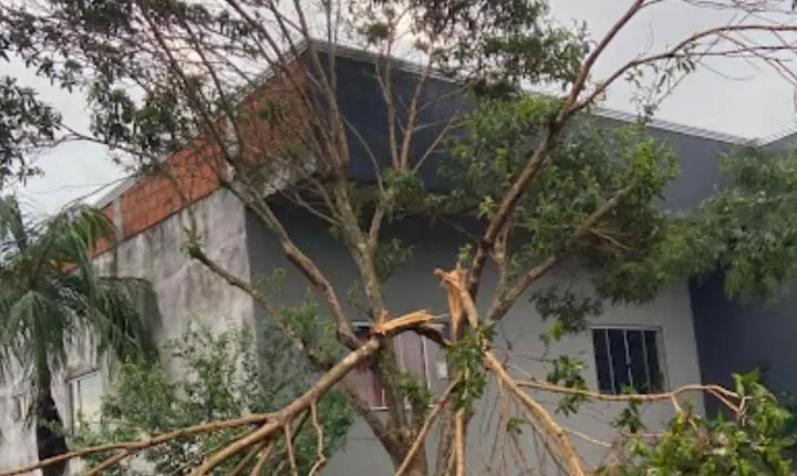 Temporal de quinta-feira provocou destelhamentos e queda de árvores em Ivaiporã