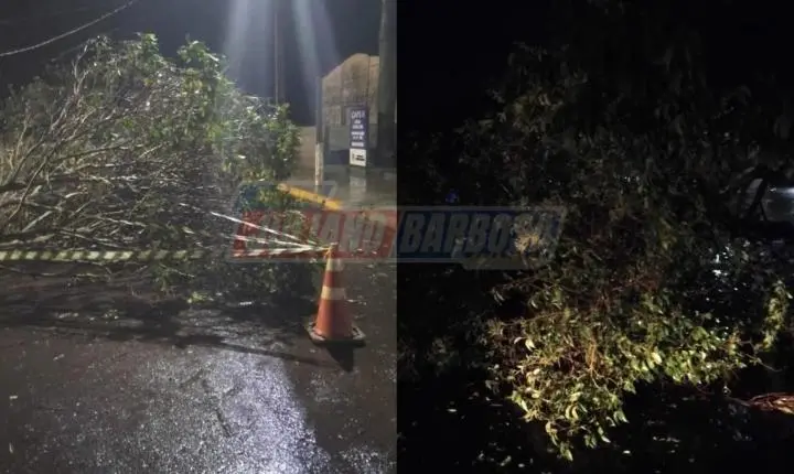 Temporal provoca queda de árvores e mobiliza equipes durante a noite em Jardim Alegre