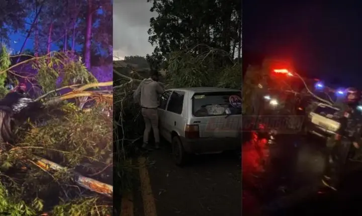 Veículo de Jardim Alegre é atingido por árvore durante temporal na PRC-466, em Lidianópolis